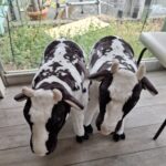 創立12周年を迎え、キックオフランチ会を開催しました